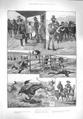 Original Old Antique Print 1894 Colonial Horses Cowboys Station Lassoo 19th