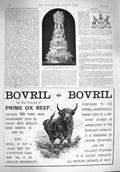 Old Antique Print 1894 Lady Margaret Grosvenor Wedding Cake Bovril Beef 19th