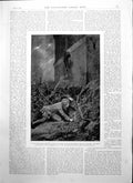 Original Old Antique Print Escaping Jail Wall Rope London Season Park Lane 1895