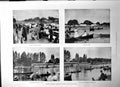 Old Henley Regatta Cornell Beaten Race Diamond Sculls Thames Cup 1895 Victorian