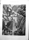 Old Chamois Stalking Stalking Gorge Finding Quarry Island Trinidad 1895 19th