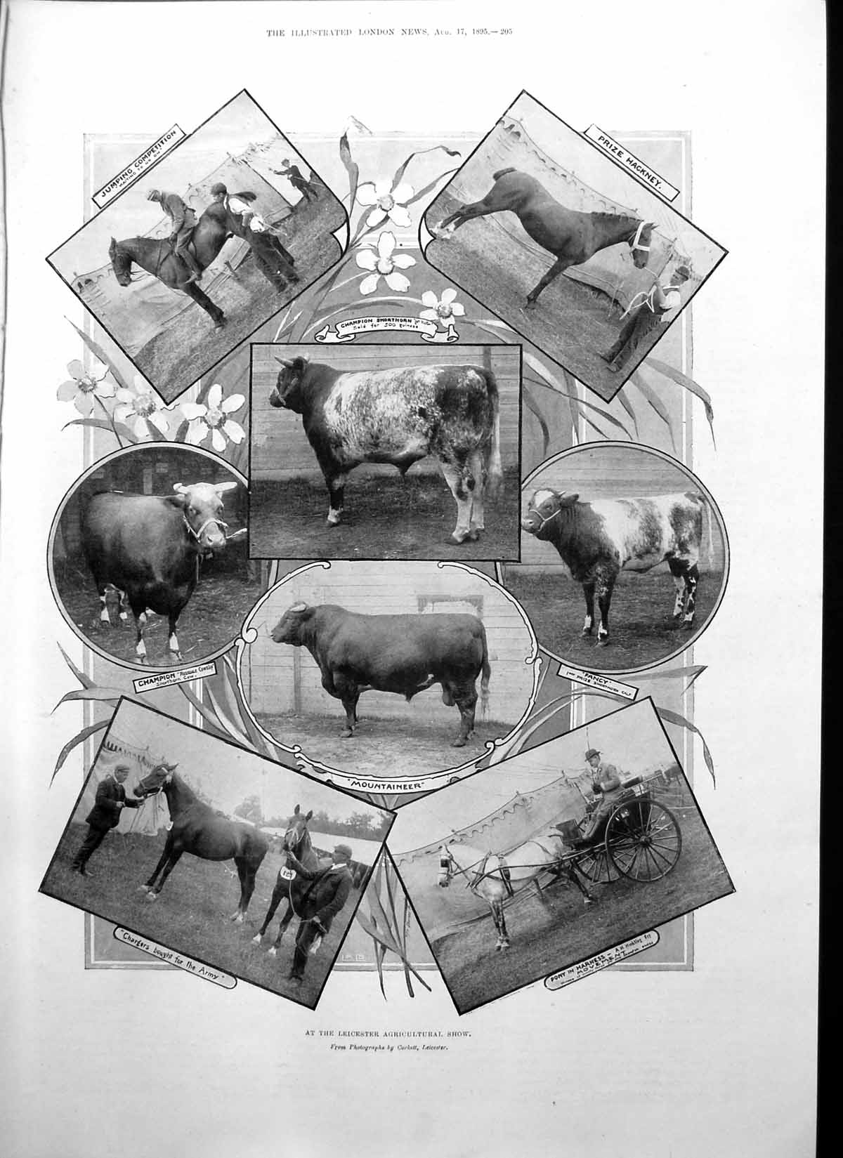 Old Leicester Agricultural Show Members House Commons Kemp Cawley1895 Victorian