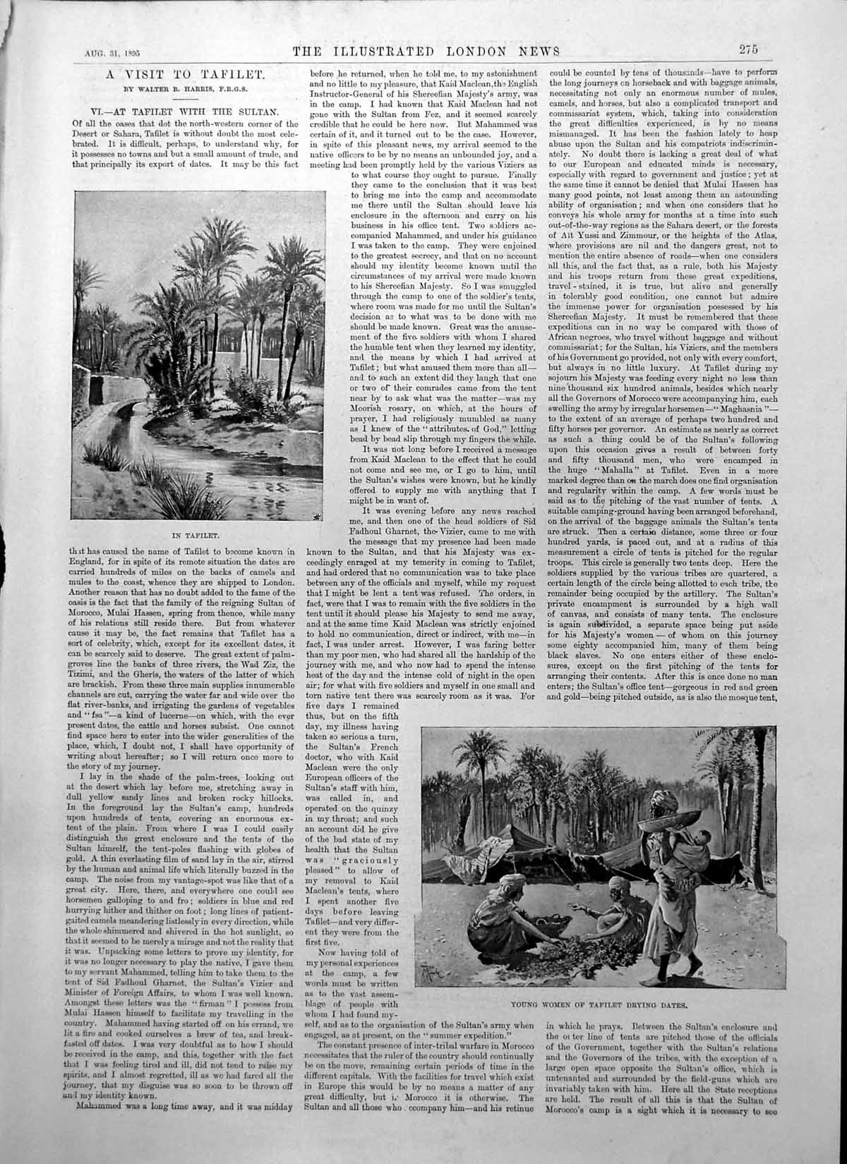 Old Visit Tafilet Sultan Young Women Drying Dates Kasbah Sekoura 1895 Victorian