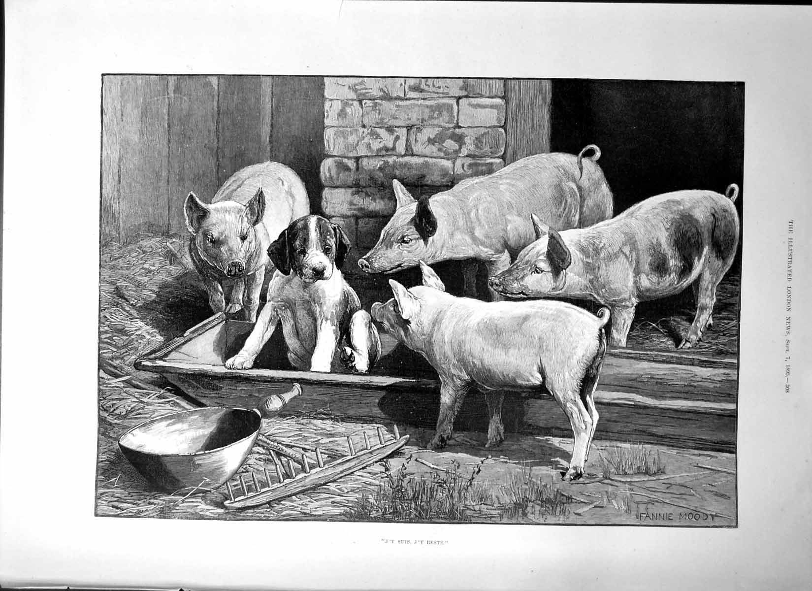 Old J'Y Suis J'Y Reste Puppy Pigs Trough Ipswich Grammar School 1895 Victorian