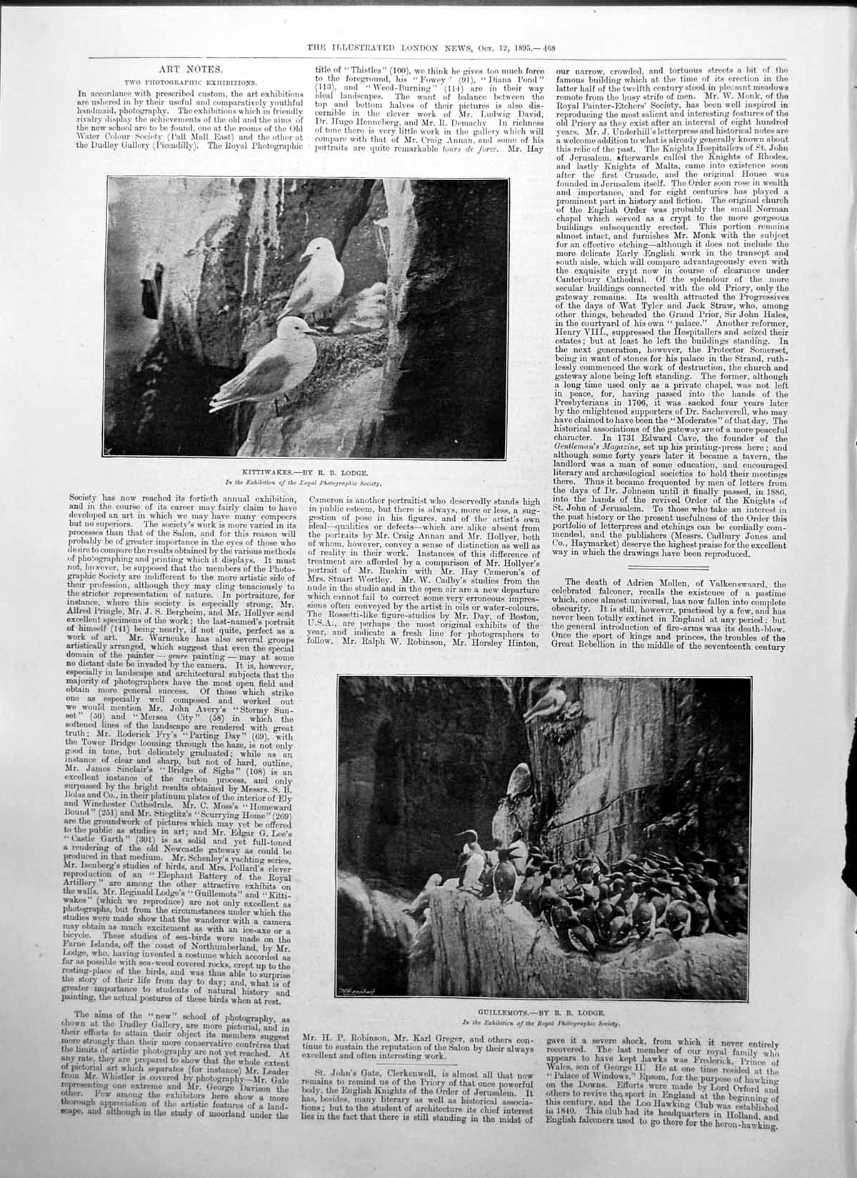 Old Kittiwakes R Lodge Guillemots R Lodge Royal Photographic Soc 1895 Victorian