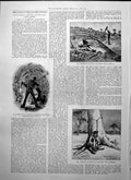 Antique Old Print Hannans GFields West Australia New Duchess Marlborough 1895
