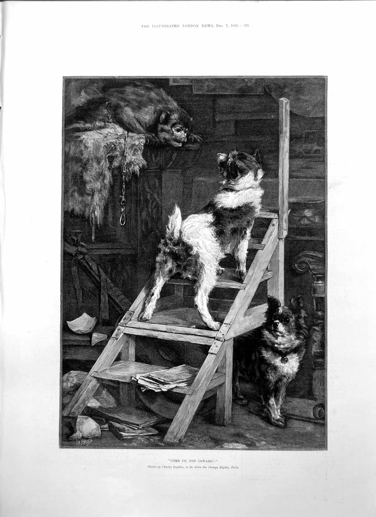 Old Antique Print Come Up Coward Charles Duchene Monkey Dogs Ladder 1895 19th