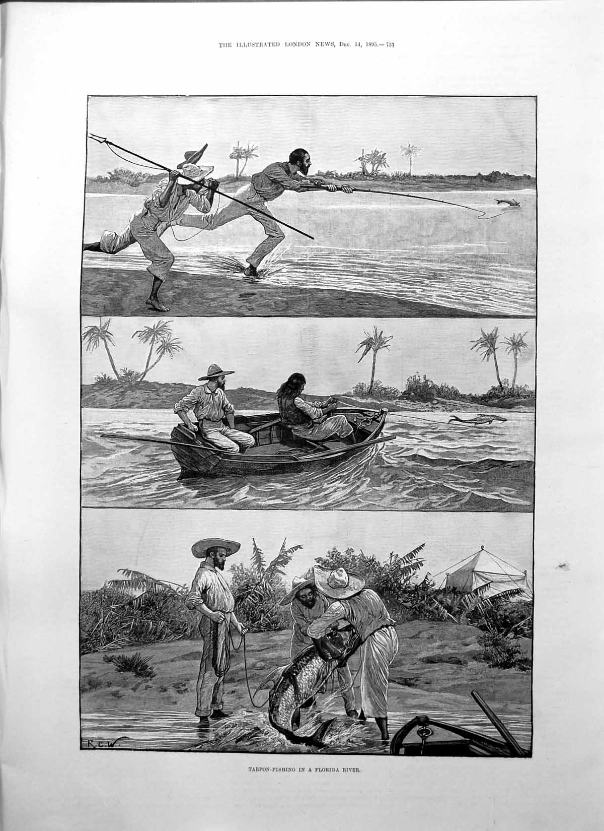 Old Print Tarpon Fishing Florida River Rc Woodville Sir Joseph Crowe 1895 19th