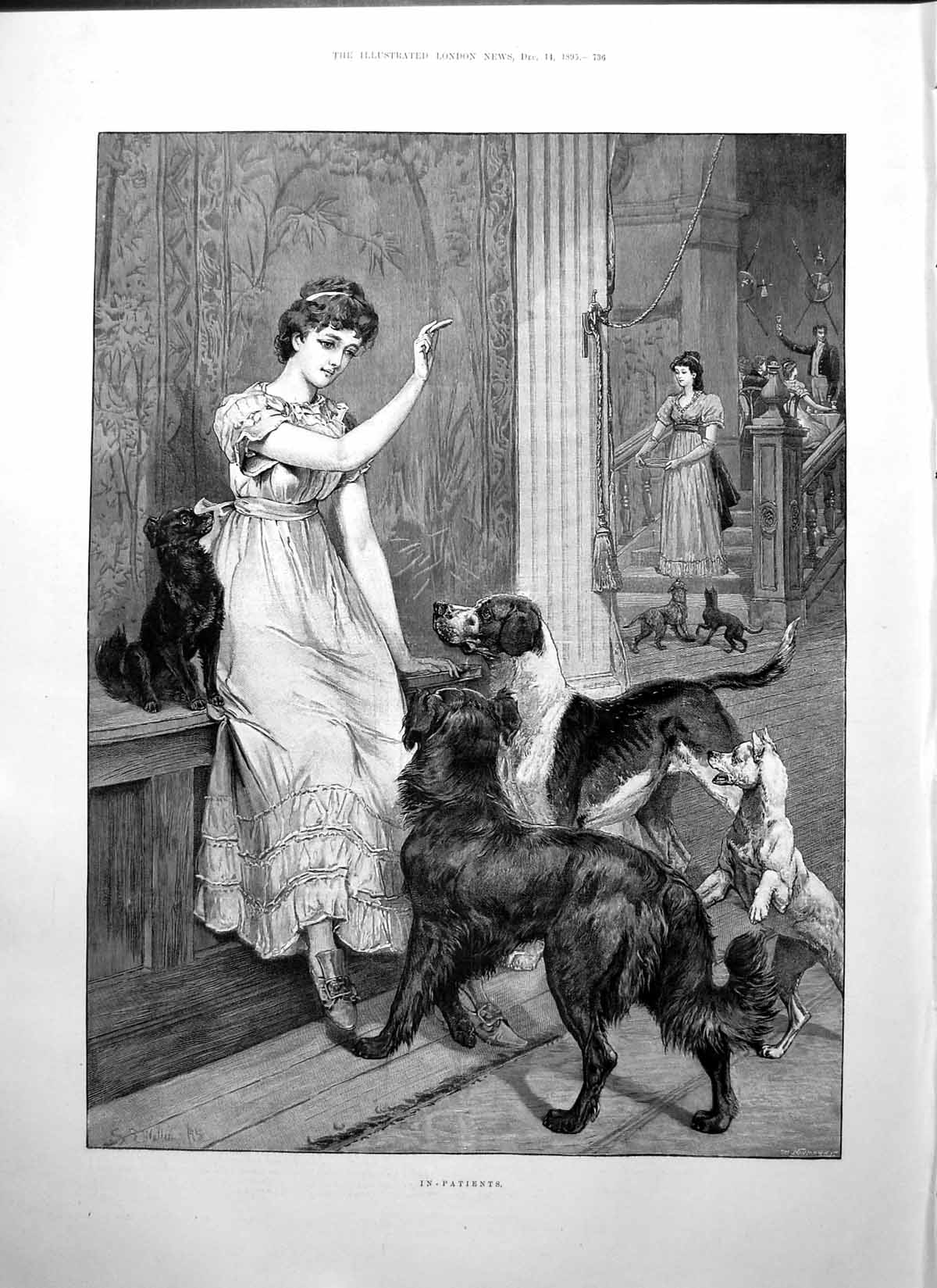 Old Print In Patients S Waller Lady Dogs Great Fingall Mine Camel Condenser1895