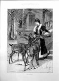 Print Out Patients S Waller Lady Reindeer Island Philae Libyan Shore Dam1895
