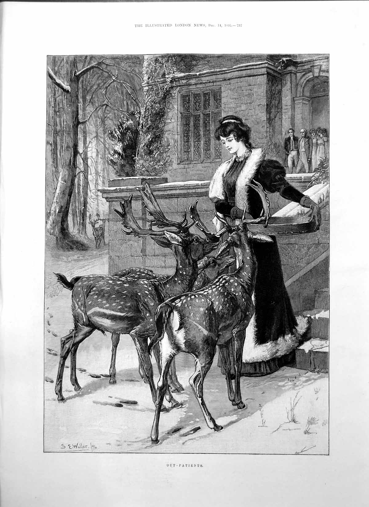 Print Out Patients S Waller Lady Reindeer Island Philae Libyan Shore Dam1895