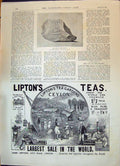Antique Old Print Lipton'S Teas Ceylon London 1896 Cap Sphinx Colonel Raum 19th