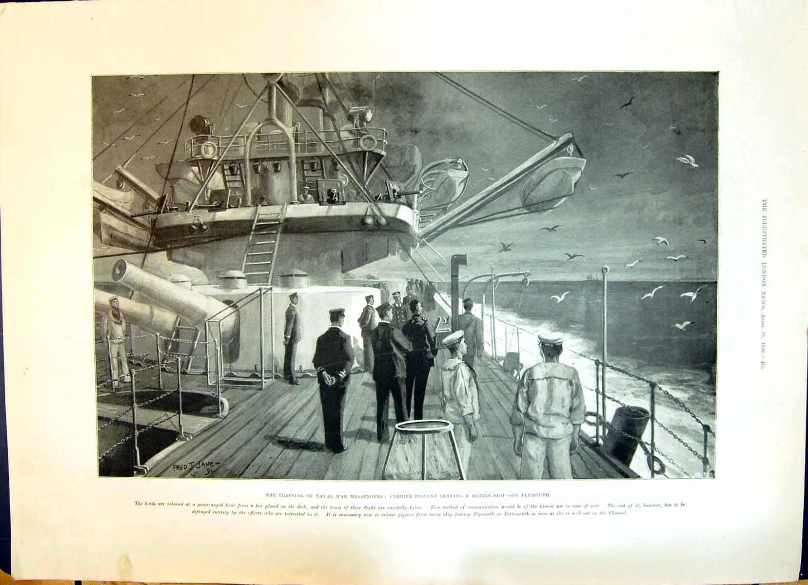 Old 1896 Training Naval War Messengers Carrier Pigeon Ship Plymouth G Victorian