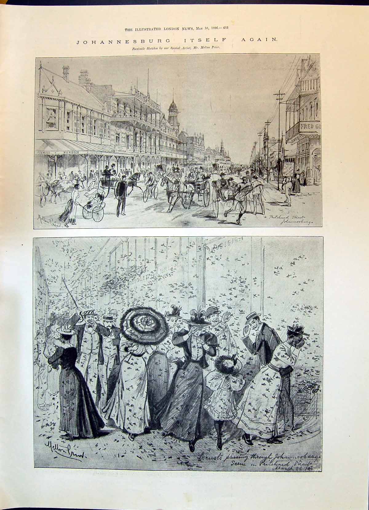 Old 1896 Johannesburg Pritchard Street Scene Africa Transport Locusts Victorian
