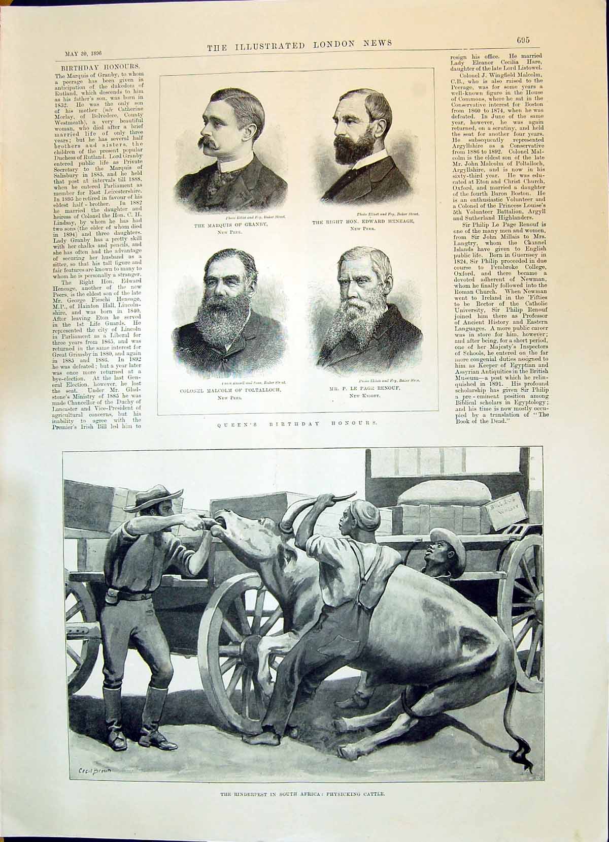 Old 1896 Rinderpest Africa Physicking Cattle Granby Heneage Renouf Do Victorian