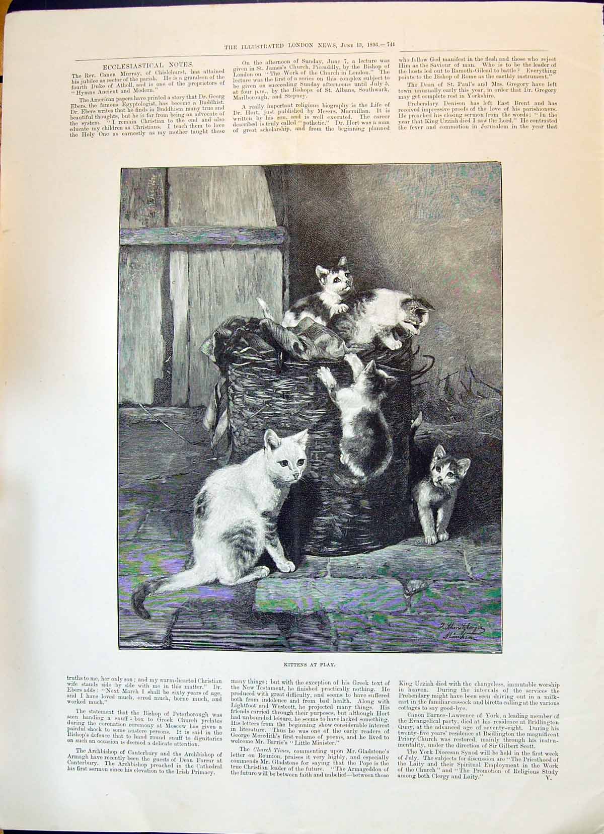 Original Old Antique Print 1896 Kittens Play Basket Portrait Jules Simon 19th