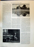 Old 1896 River Boats September Sunshine Man Dogs Royal Academy Ladies Victorian