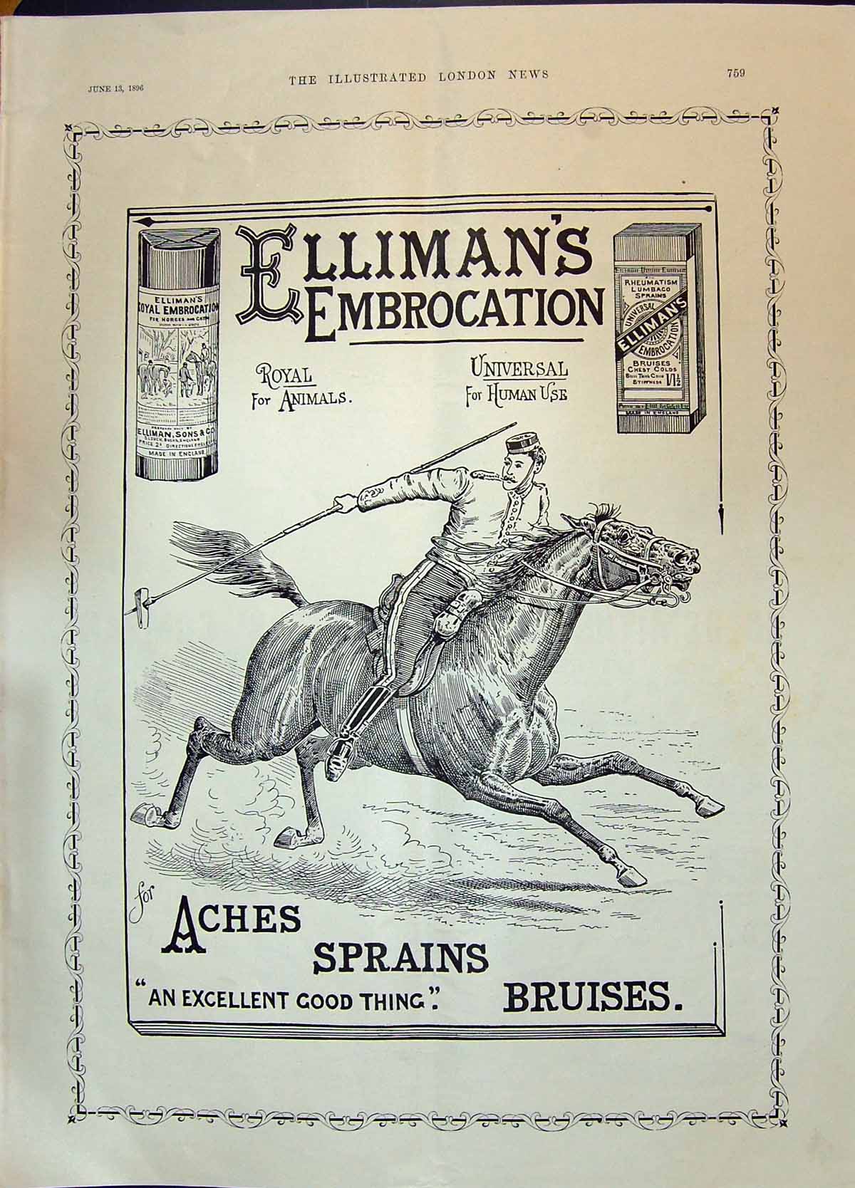 Antique Old Print 1896 Elliman'S Embrocation Royal Animals Universal Humans