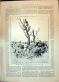 Old Print 1896 Matabili Scouts Swinburne Burnham War Siers Lord Kelvin L 19th