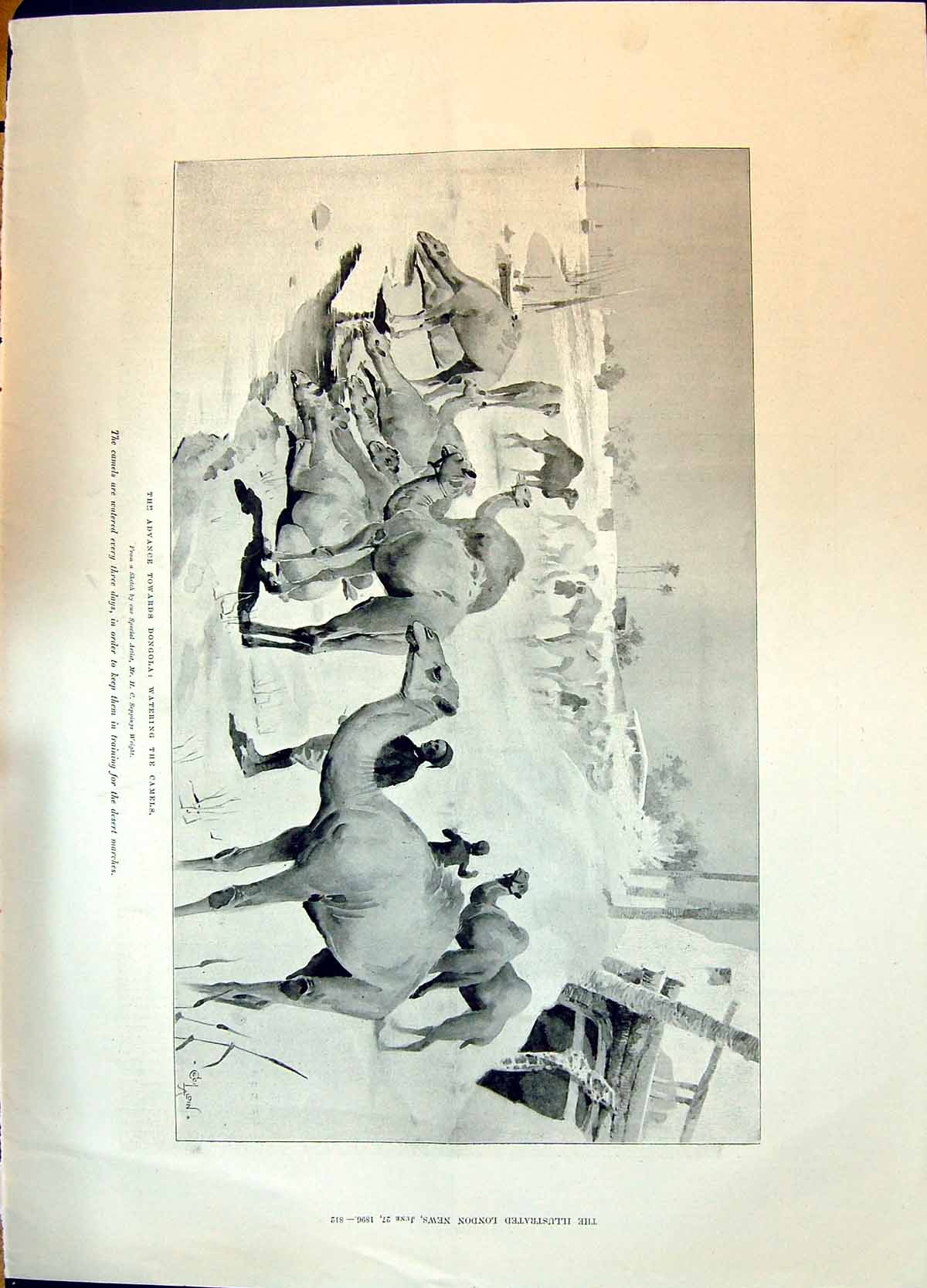 Old 1896 War Advance Towards Dongola Watering Camels Desert March Wri Victorian
