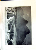 Old 1896 Dongola War Sonki Moonlight Zareba Stockyards Chicago Drivin Victorian