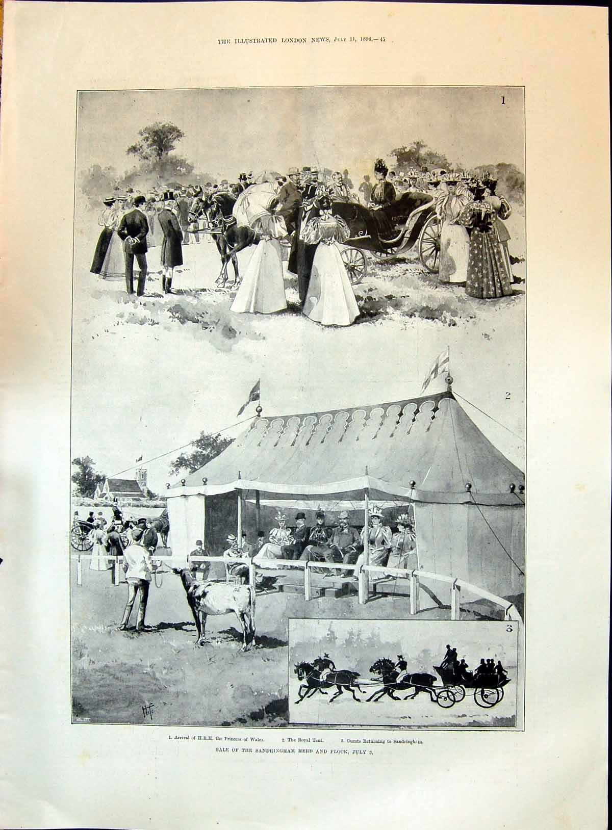 Old 1896 Sale Sandringham Herd Flock Princess Wales Harriet Beecher S Victorian