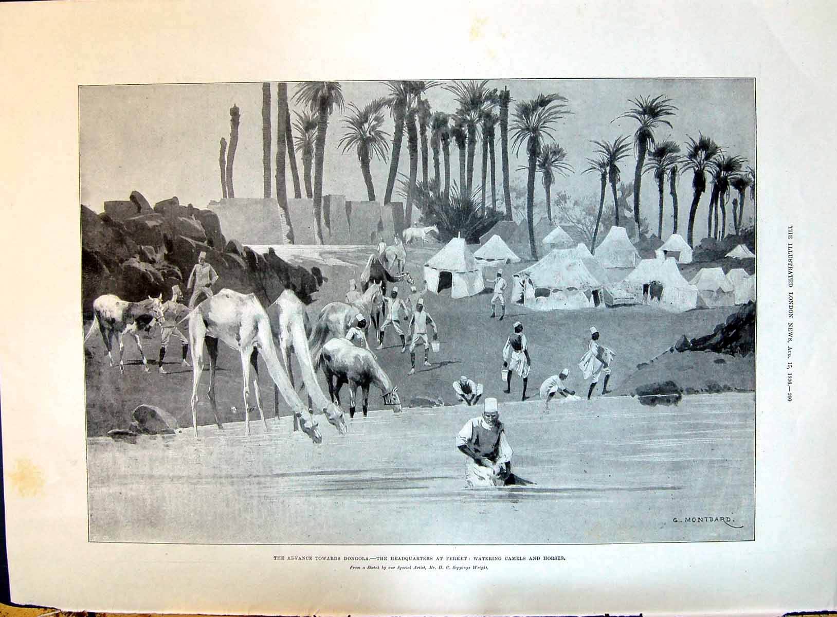 Old 1896 Dongola Headquarters Ferket Watering Camels Horses Cretan Ca Victorian
