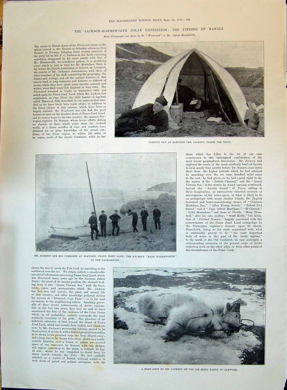 Old Print 1896 Jackson Polar Expedition Elmwood Bear Elmwood Franz Joseph 19th