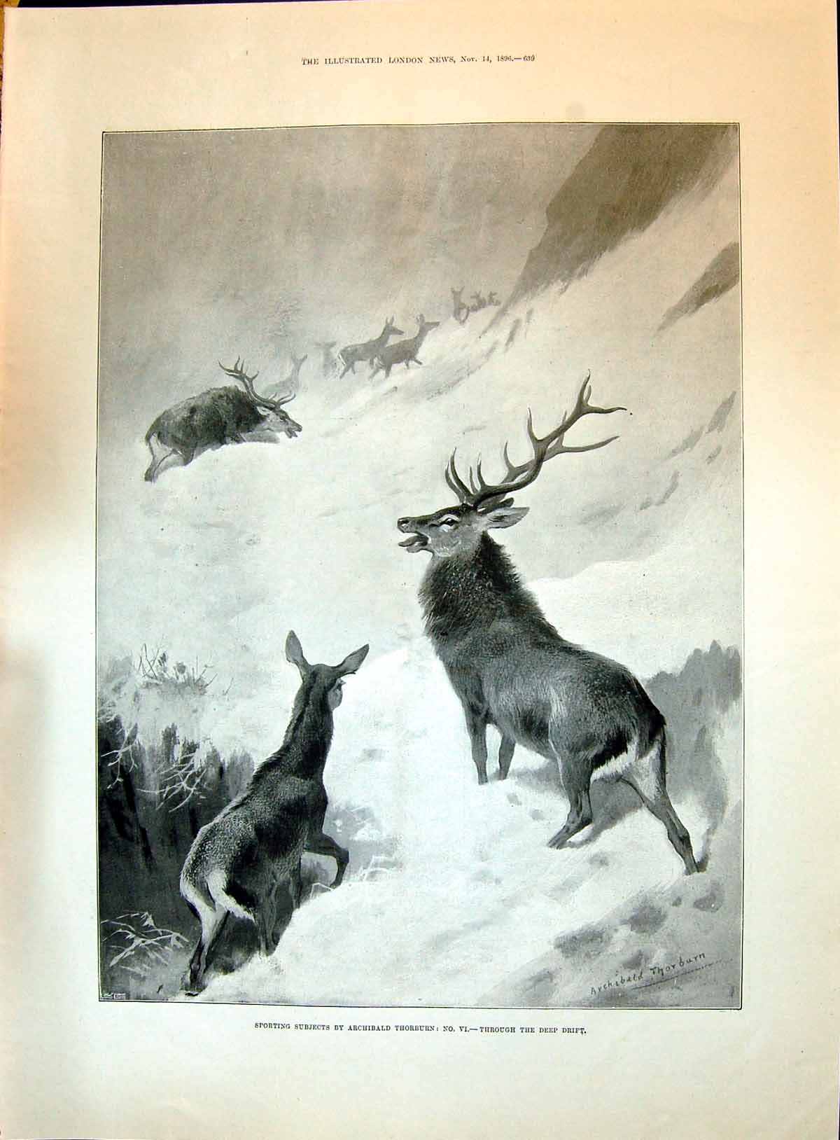 Old 1896 Sport Hunting Stag Snow Mountains Thorburn Jungfrau Snow-Pin Victorian