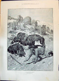 Old Print 1897 Perilous Moment Man Horse Wild Boar Woodville Delyannis Collins B
