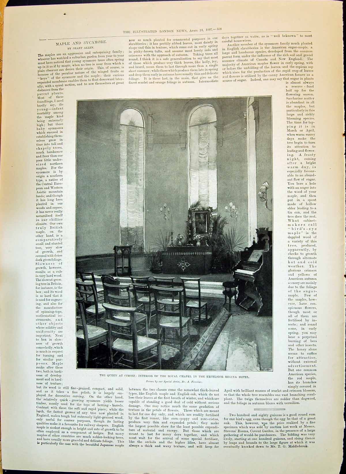 Old 1897 Cimiez Queen Royal Chapel Excelsior Regina Hotel Romance Man Victorian