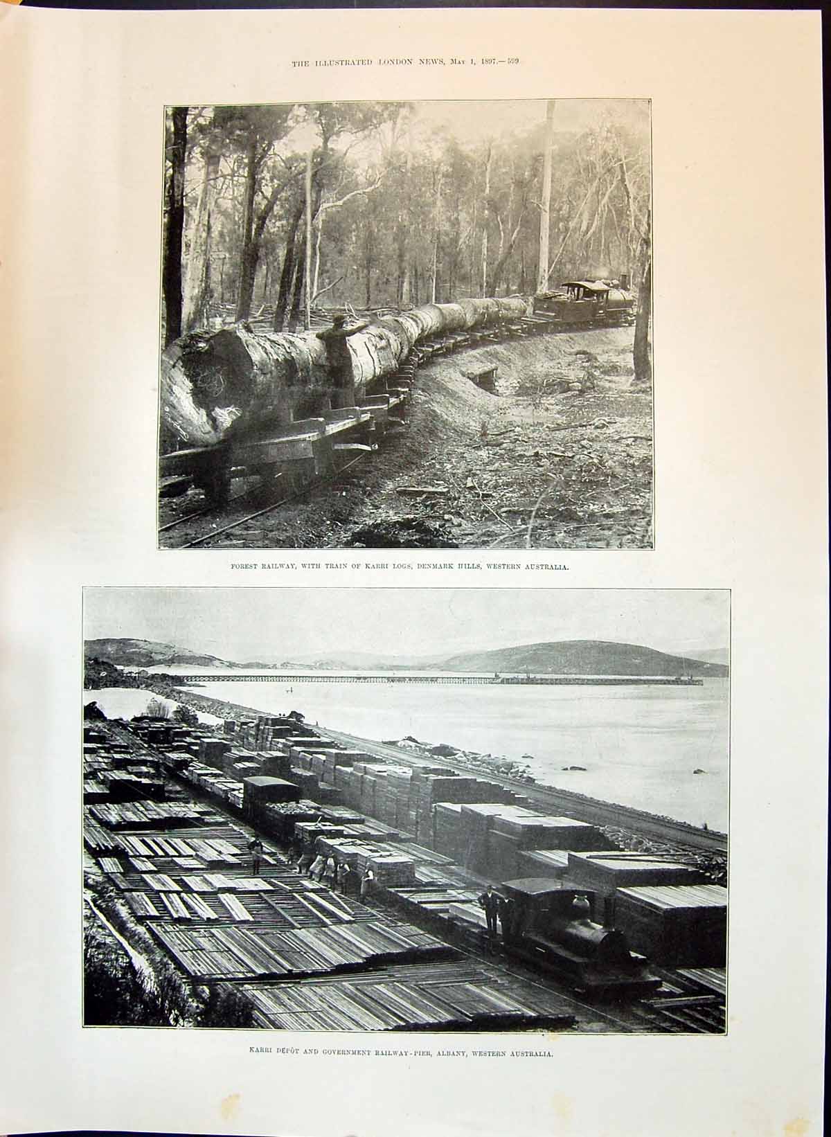Old 1897 Forest Railway Karri Logs Denmark Hills Depot Albany George Victorian