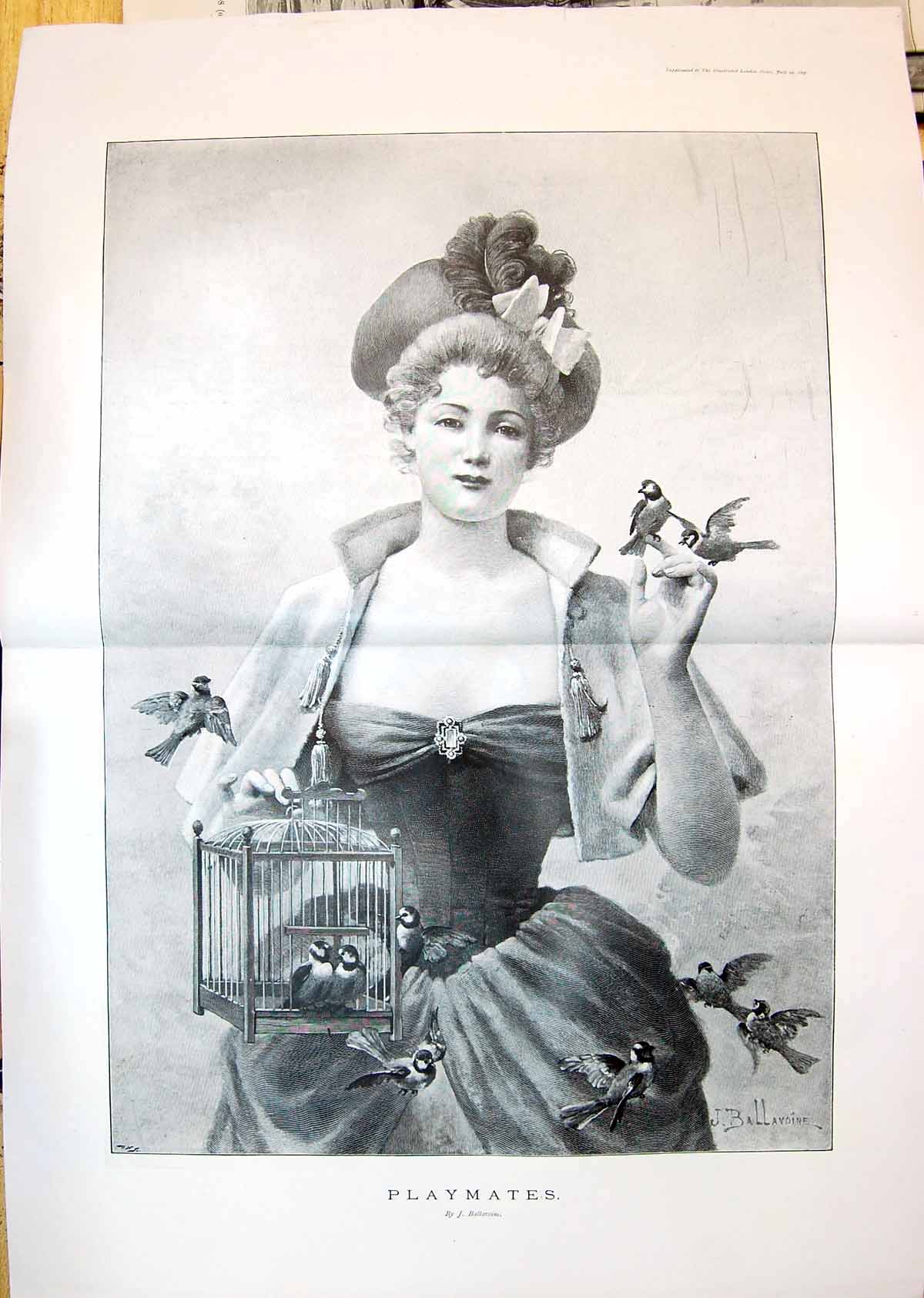 Old Print 1897 Ballavoine Portrait Beautiful Woman Birds Cage Playmates 19th