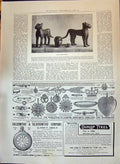 Old Print 1897 Benin Relics Horniman Museum Forest Diamond Dunlop Gmsmit 19th