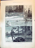 Old 1897 Sport Alaska Fishing Salmon Hunting Bear Wilhelmina Queen Ne Victorian