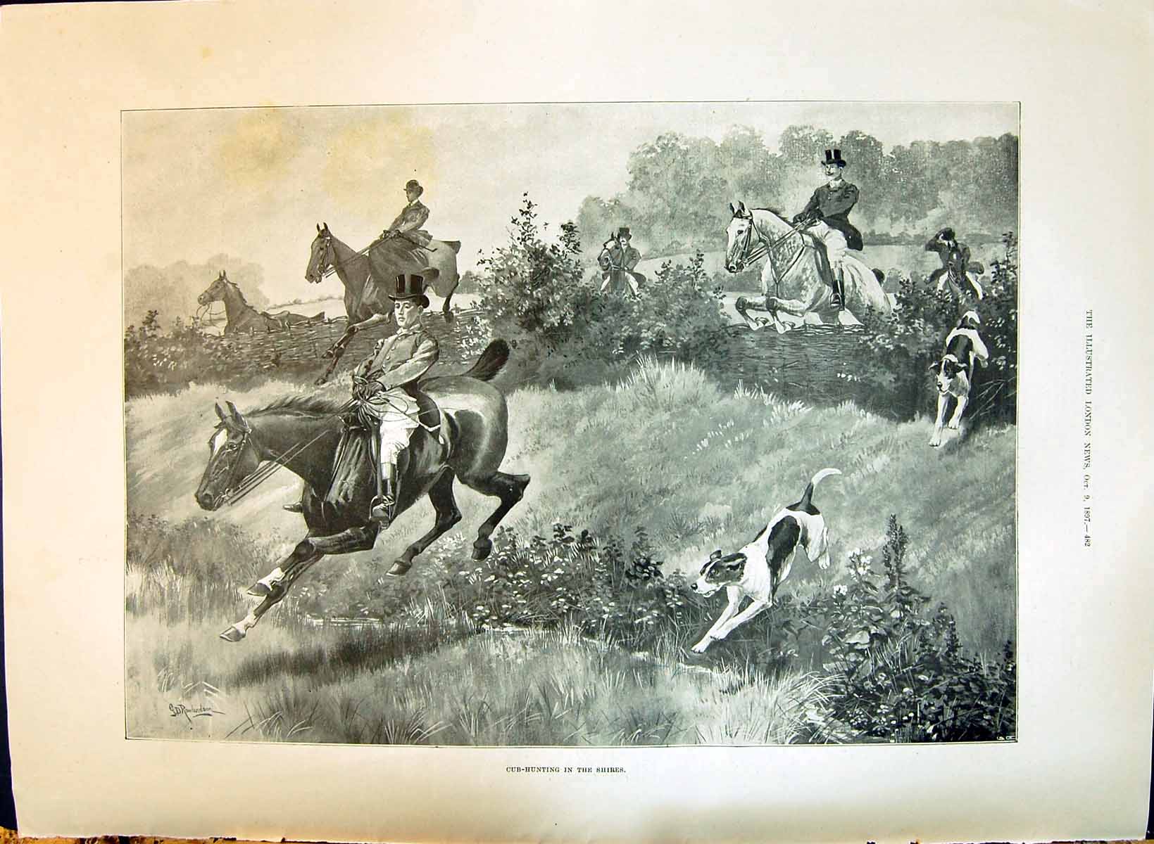 Old 1897 Fox Cub Hunting Shires Sport Horses Dogs German Emperor Koro Victorian