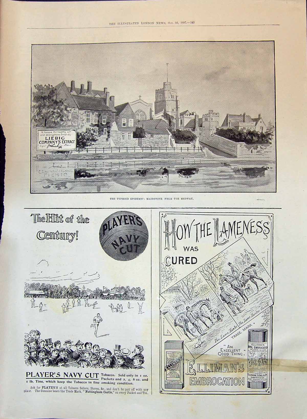 Antique Print 1897 Typhoid Maidstone Medway Leibig Players Tobacco Ellimans
