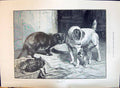 Old 1897 Fannie Moody Pets Dog Cat Kittens Lace Fan Queen Jubilee Pre Victorian