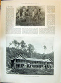 Old Print 1897 Borneo Natives Jungle Barracks Sandakan Balaclava Siers W 19th