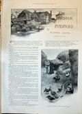 Old 1898 Story Illustration Master Pinsmead Farm Scene Turkeys Algern Victorian