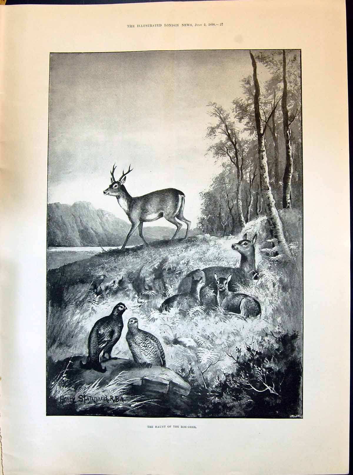 Old 1898 Haunt Roe Deer Grouse Birds Ladies Fashion Frock Foulard Mou Victorian