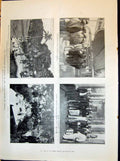 Old Print 1898 Prince David Hawaii Flag General Anderson Sewell Siers Ho 19th
