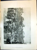 Old 1898 Queen Presenting Road Cowes Walsh Minto Yates Bourinot Rowla Victorian