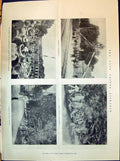Old 1898 Prince Bismarck Friedrichsruh Funeral Floral Tributes Lying- Victorian