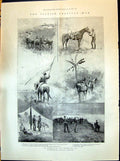 Old 1898 Spanish American War Lieutenant Short Field-Officer Horse Pa Victorian