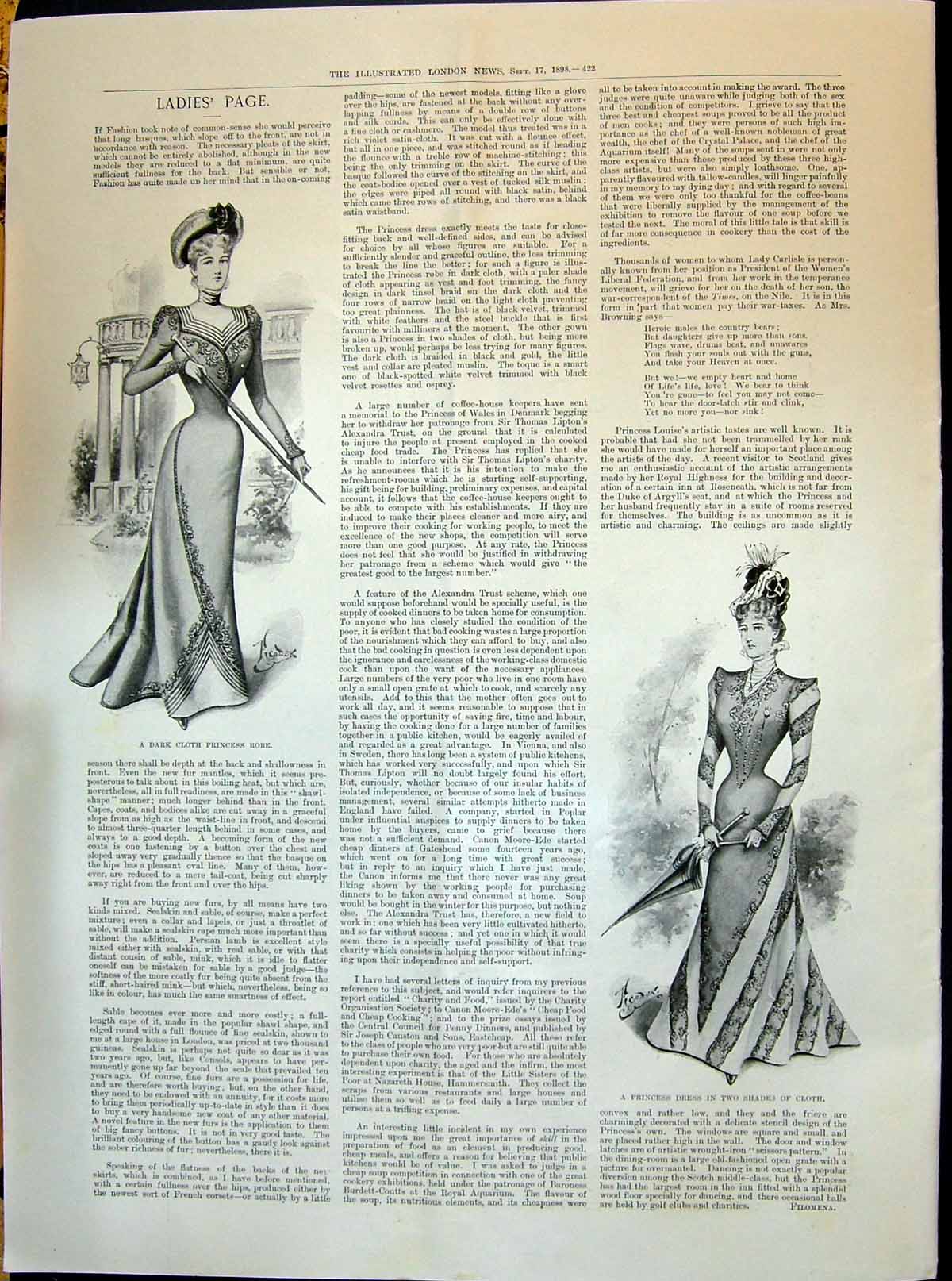 Old 1898 Ladies Fashion Dark Cloth Princess Robe Dress Two Shades Clo Victorian