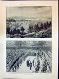 Old 1898 Esquimalt Harbour Vancouver Duke Cambridge Wellington Seymou Victorian