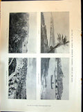 Old 1898 Palestine Kaipha Jaffa Bethlehem Latin Convent Girl Duckling Victorian