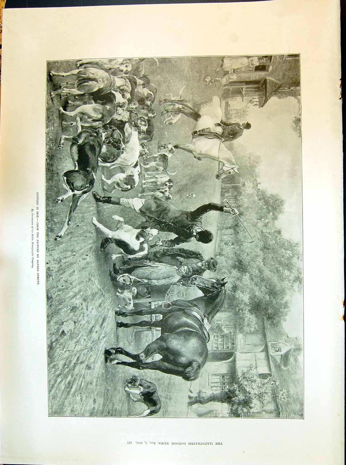 Old 1898 Hunting Hounds Getting Hot Punishing Dog Joaquin Miller Poet Victorian