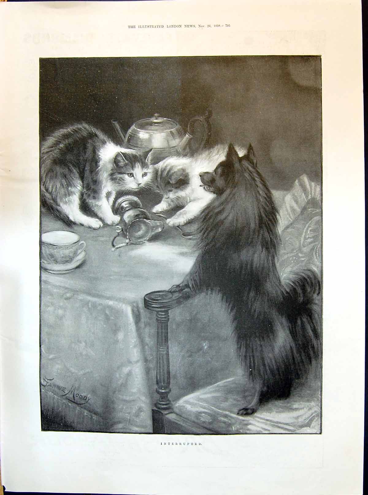 Old 1898 Beautiful Cat Kittens Pet Dog Dinner Table Interrupted Moody Victorian